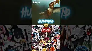Hummingbird VS Anime Characters #hummingbird #edit #dinosaur #bird #vsedit