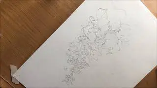 How to draw wisteria watercolor.