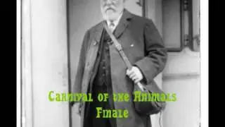 Saint - Saens: His Best Works (Part 1 / 2)