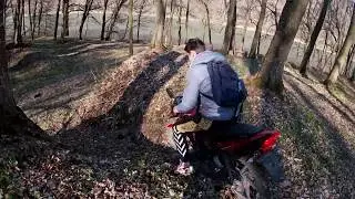 На что Способен Forte 200 Ft-23 в Лесу.