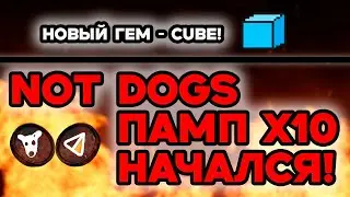 DOGS И NOT НАЧАЛО ПАМПА?ЖДАТЬ 10Х? НОВЫЙ ГЕМ COBE НЕ ПРОПУСТИ!