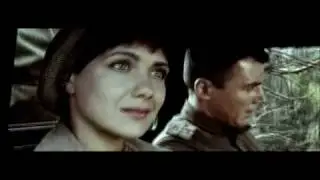 Тина Кароль - Журавли