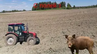 Vlog #2 в полях. Работа.