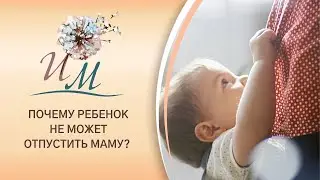 Почему ребенок не может отпустить маму? Интуитивное Материнство