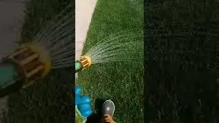 Does @JakeTheLawnKid Provide Aeration and Overseeding??? #lawncare #satisfying #lawncare