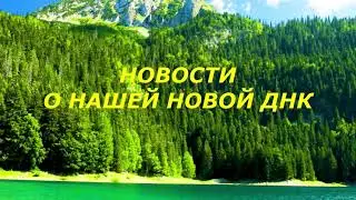 244.Лена Калашникова. Видение 