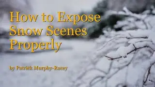How to Expose Snow Scenes Properly by Patrick Murphy-Racey