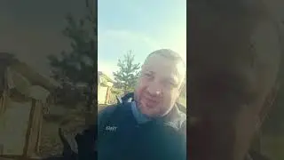 пчелопакет карника! #мирные пчелы.
