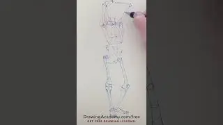 Drawing Female Body 
