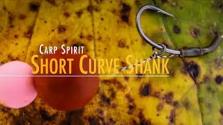 Short Curve Shank