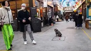 Brixton market during restrictions 21 Nov 2020