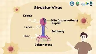 Memahami Struktur Tubuh Virus Biologi Kelas 10
