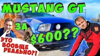 Ford Mustang с Аукциона - Copart | Сколько стоит
