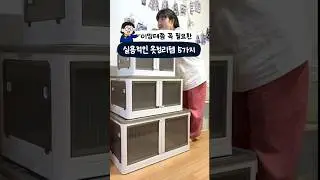 이맘때쯤 꼭 필요한 실용적인 옷정리템 5가지