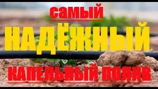 Самый НАДЁЖНЫЙ капельный полив.