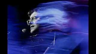 Alex Bayly - Animal (live)