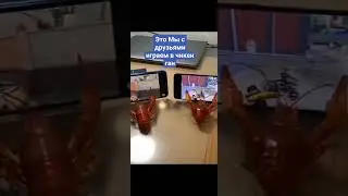 мы с друзьями играем в чикен ган