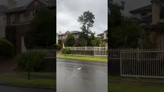 Beautiful suburbs in Melbourne #australia #australiansuburbs #winter