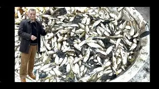 Fishing in pond!