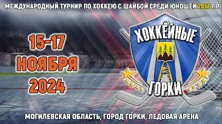 15.11.2024. ХГ. 2012. PRO Hockey - Динамо-Джуниверс