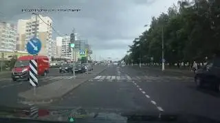 Барановичи. Олени на дорогах_12_07_2019