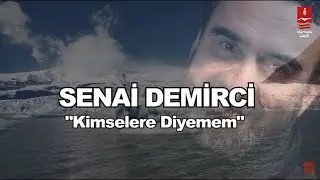 SENAİ DEMİRCİ  
