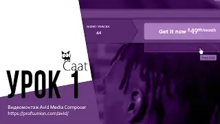 Caat / Урок 1. Видео монтаж в Avid Media Composer 8.7