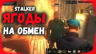 STALKER ОНЛАЙН / Обмен ягод на ништяки