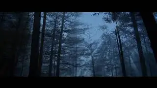 Место силы. Трейлер к фильму