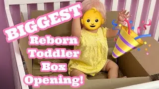 My Biggest Reborn Toddler Box Opening And Name Reveal!