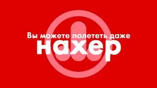 Реклама Penis Airlines