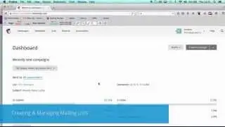 2   Creating & Managing Mailing Lists (MailChimp Course)