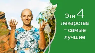 Ценнейшие лекарства для вашего здоровья, которые не найти в аптеках