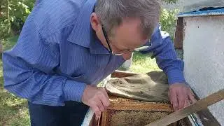 Попередня збірка бджолиних сімей на українську рамку | Підготовка бджіл до зимівлі