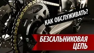 Which chain is better?