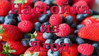 Настойка из Ягод