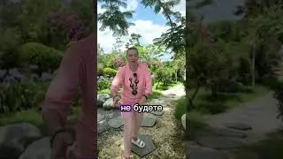 Чистка от вины 