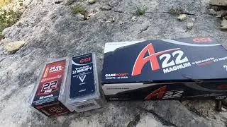22 Magnum Velocity Test