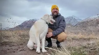 The Problem With My Dog...
