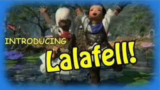 Introducing, Lalafell!