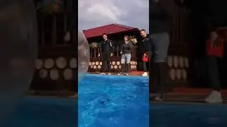 СМЕХ МАКСУТЫ (ЧАСОВАЯ ВЕРСИЯ В ОПИСАНИИ) 