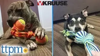 Buster Colour Rope Tuggaball & Colour Squeak Rope from Kruuse