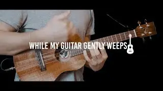 Mikołaj Szczepka  - While My Guitar Gently Weeps | Jake Shimabukuro Cover