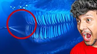 TOP 5 Mythical Creature That Actually Caught On Camera!
