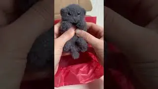Вязаный котенок 