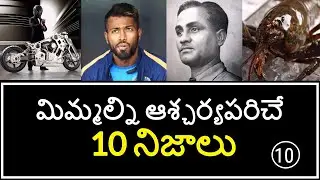 Top 10 Unknown Facts in Telugu | Interesting and Amazing Facts | Part 10 | Minute Stuff