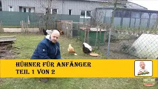 Hühner für Anfänger Teil 1 von 2