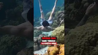 Tremendo CABEZAZO 🤯 contra un 🪸CORAL 😅 #funny #fail #golpes #divertido #underwater #fyp