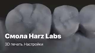 3D печать моделей Harz Labs, полимеры. Смола Harz Labs настройки. Harz Labs Dental Model