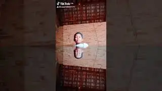 Bokep